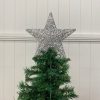 TTS-S-30 ON TREE