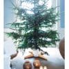 RESIZED TIMBER WHITE EXPERIENCE 1 RESIZED TIMBER WHITE EXPERIENCE 1