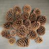 20pc pine cones 20pc pine cones